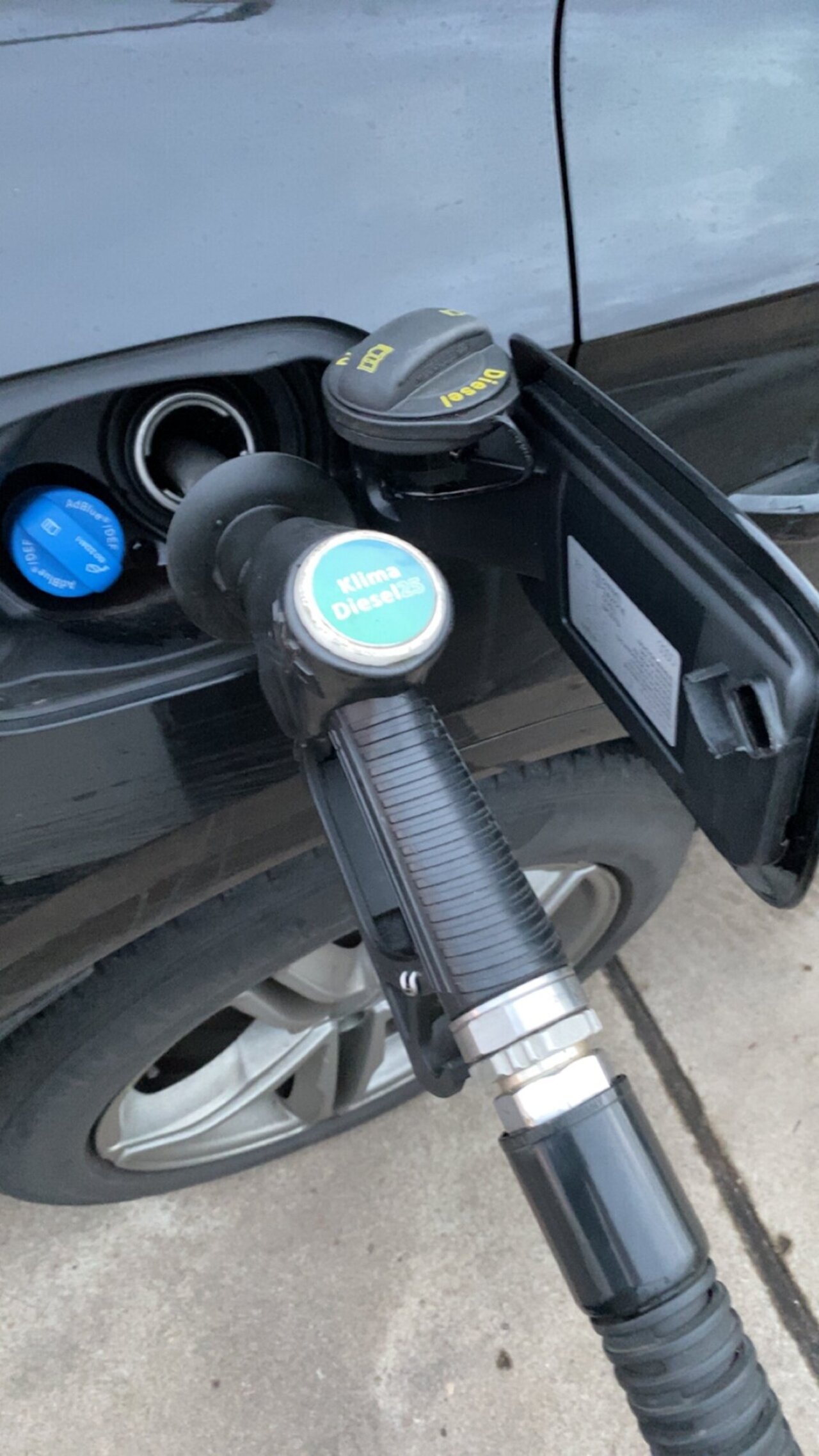 Premiere in Lohne Image 2