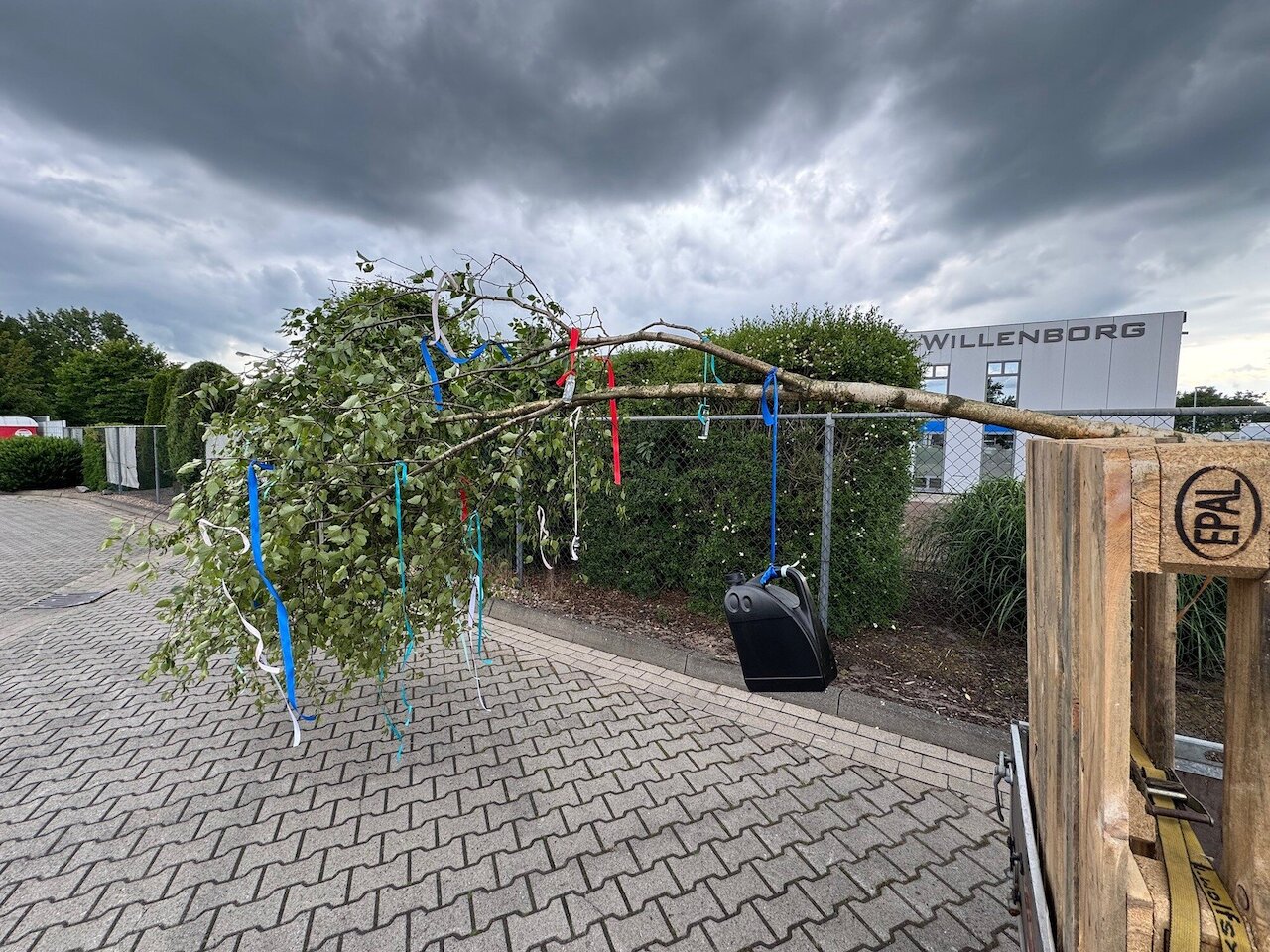 Pfingsbaumsetzen Image 4