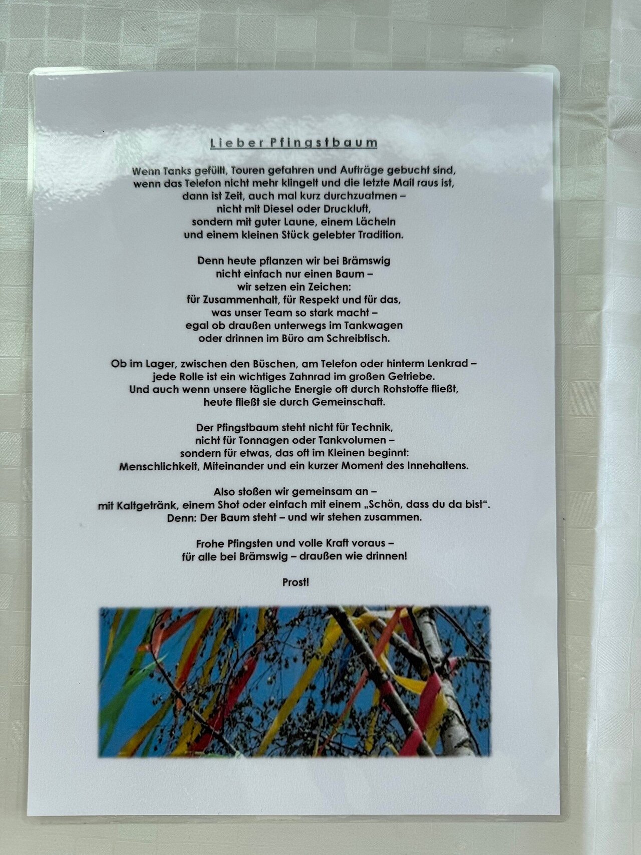 Pfingsbaumsetzen Image 5